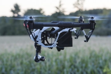 Como e por que a agroindústria precisa investir em IA